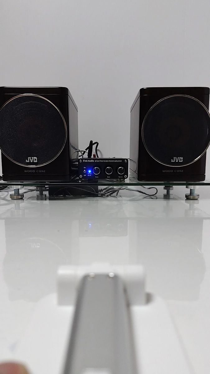 JVC victor SP-EXN5 ウッドコーンスピーカー パッシブスピーカー フルレンジ