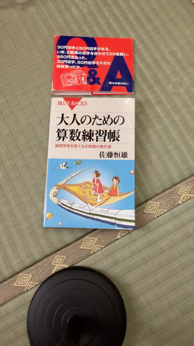 大人のための算数練習帳 論理思考を育てる文章題の傑作選 (ブルーバックス B-1433) 佐藤恒雄/著