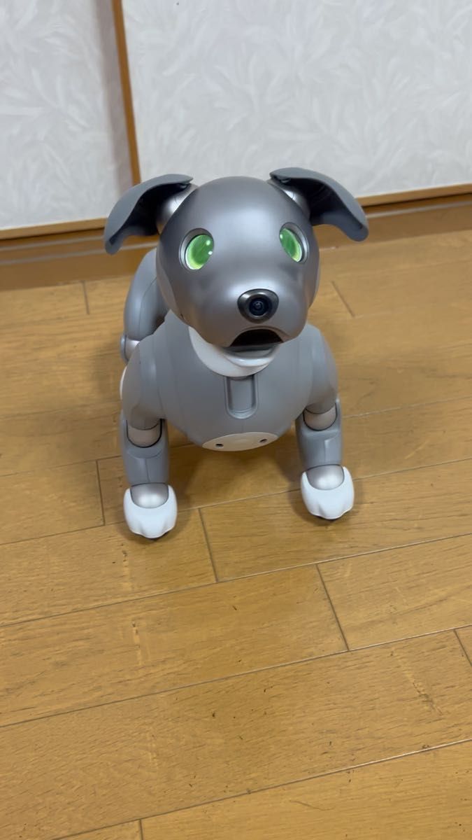 SONY AIBO ロボット犬 ERS-1000 2021年限定カラー 黒ごま エディション