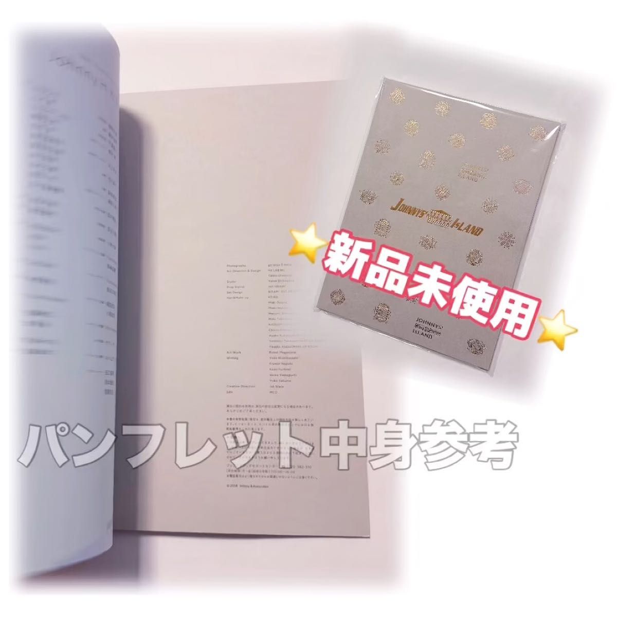 JohnnysKing&Prince IslandパンフレットジャニアイSnowManSixTONES他
