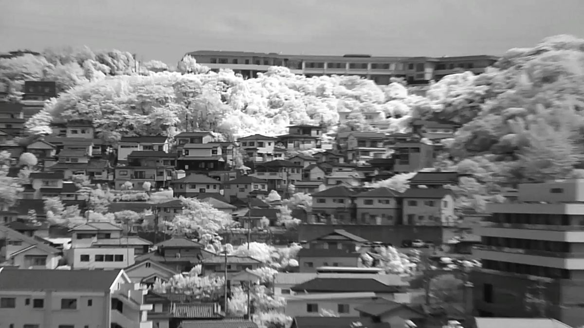 【赤外線改造カメラ/動画カメラ】赤外線動画に特化 ハイビジョンで録画/ LUMIX DMC-TZ7/1010万画素/12倍ズーム
