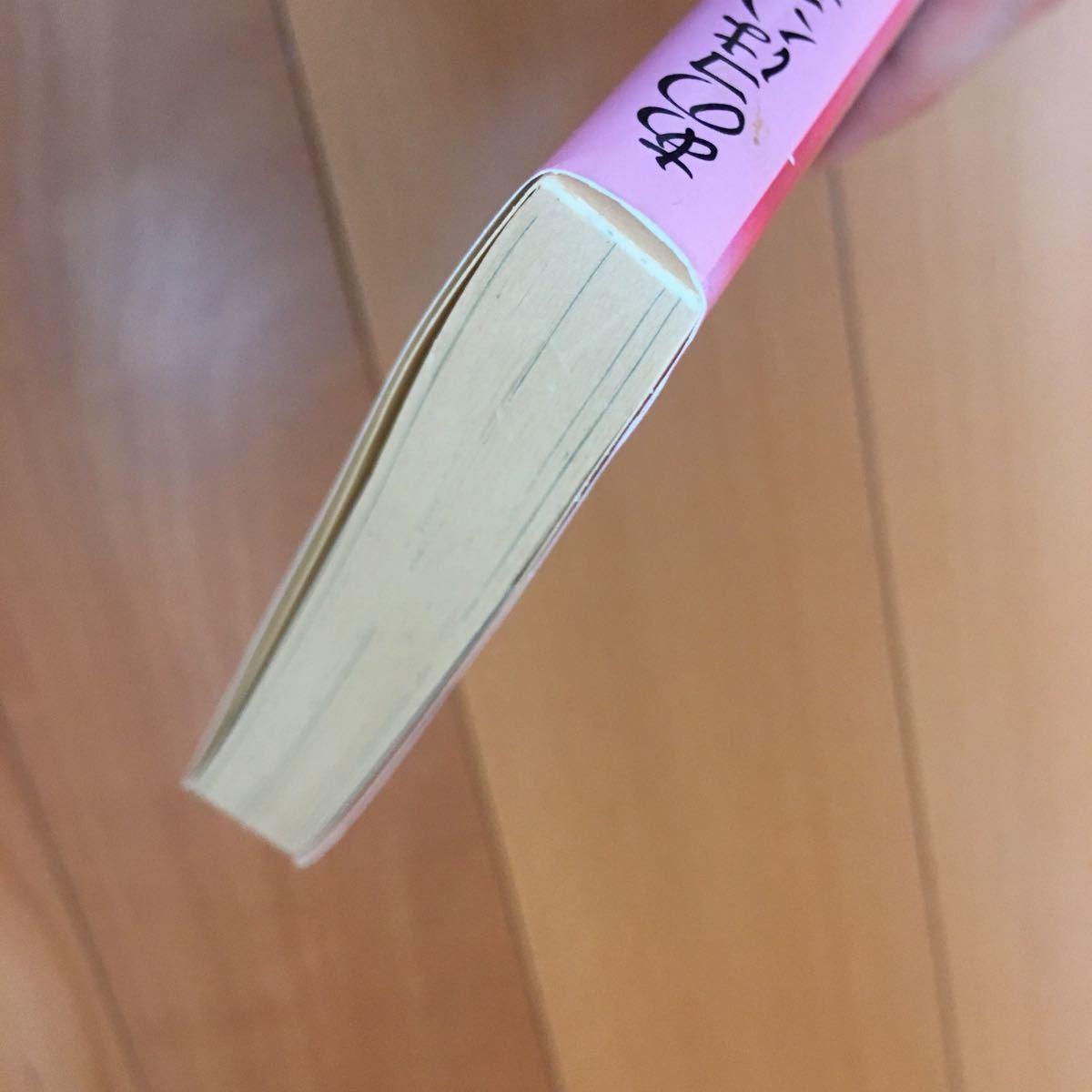 Paypayフリマ 中古ライトノベル 文庫 あのコはハンサムボーイ 青山えりか Paypayフリマ 中古ライトノベル 文庫 あのコはハンサムボーイ 青山えりか