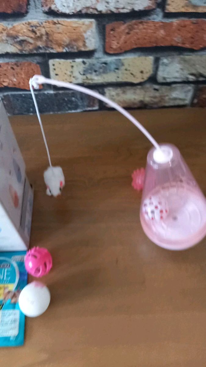 猫 おもちゃ フード おやつ