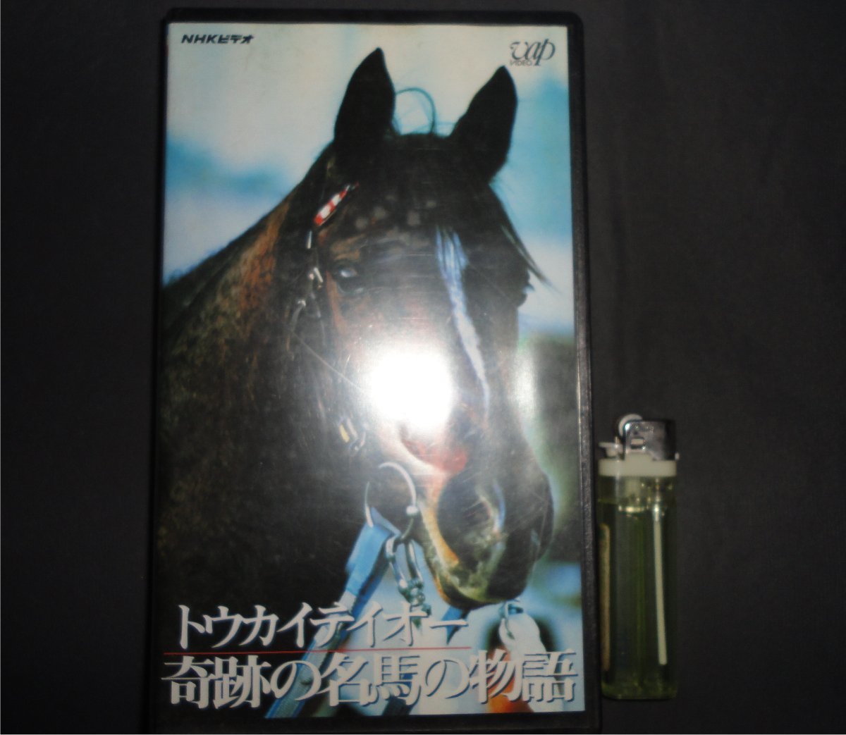 ◆トウカイテイオー ビデオ VHS 奇跡の名馬の物語 田原成貴 武豊 NHK 50min ３冠馬 奇跡の復活 有馬記念_画像1