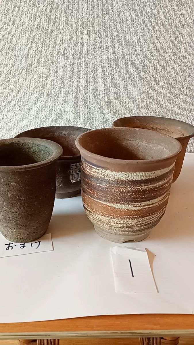 ①雪割草、山野草の鉢 4個