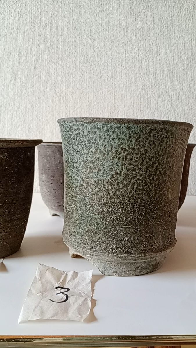 ③雪割草、山野草の鉢 4個