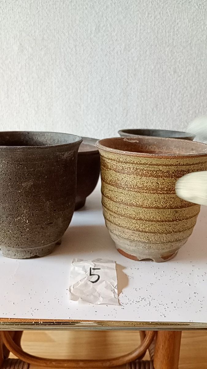 ⑤雪割草、山野草の鉢 4個