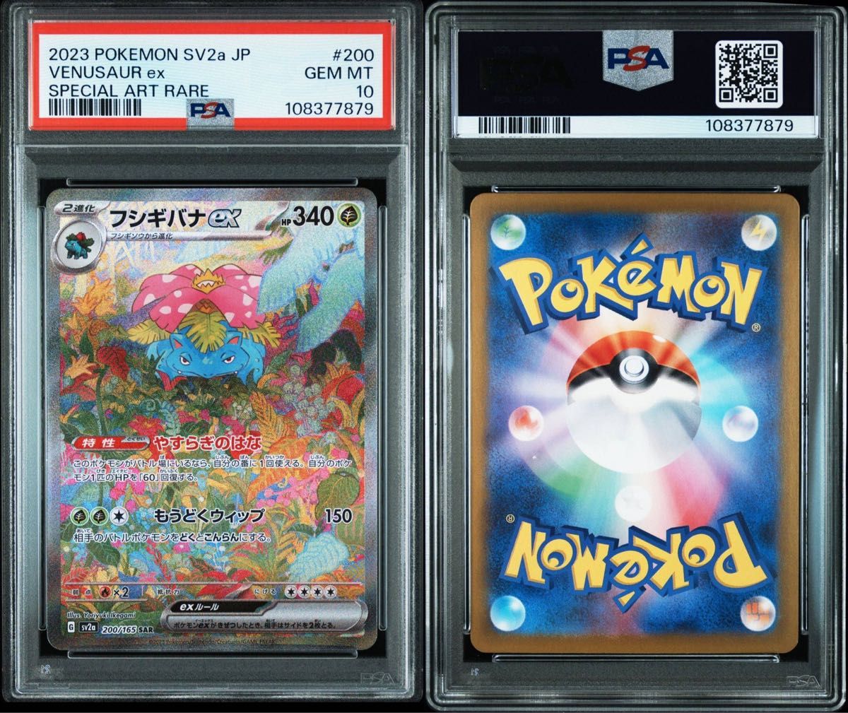 フシギダネ AR フシギソウ AR フシギバナex SAR PSA10 連番 進化 フシギダネ AR フシギソウ AR フシギバナex SAR PSA10 連番 進化