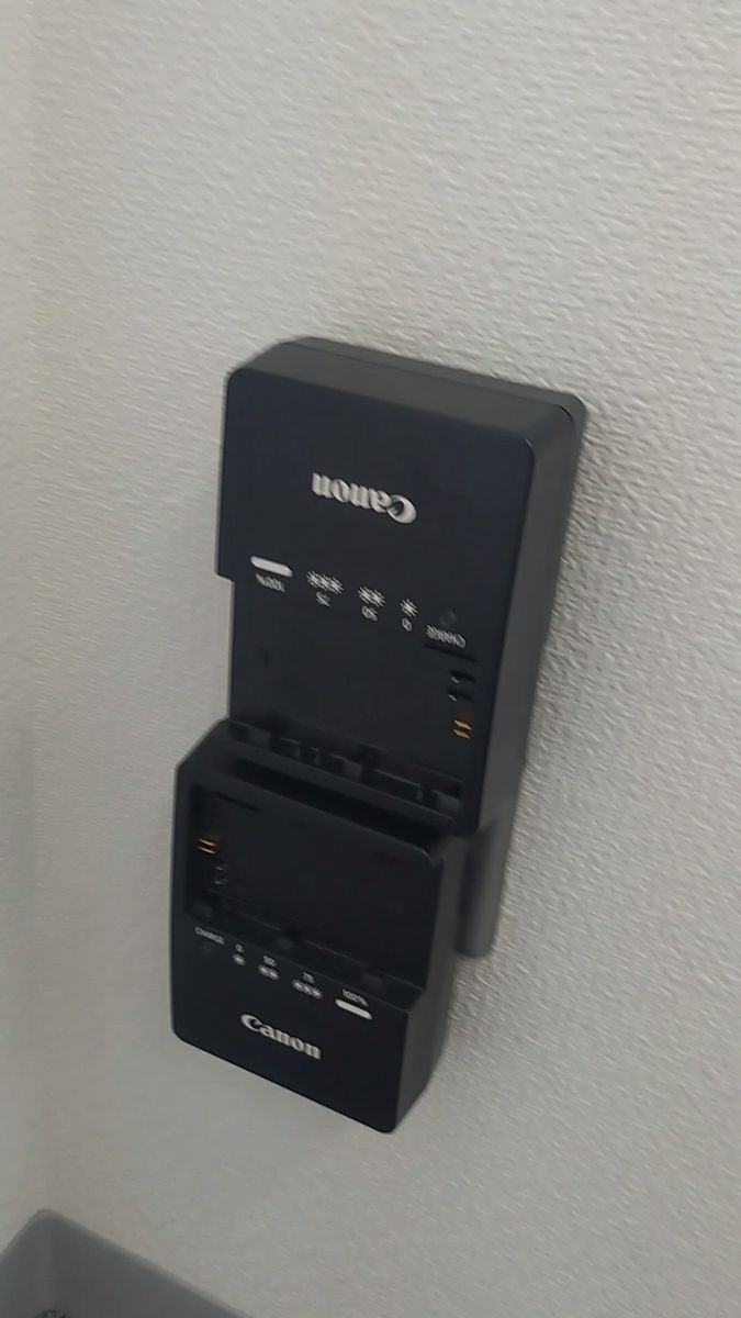 【2個セット】動作確認済!LC-E6 Canon バッテリーチャージャー 充電器 キヤノン キャノン CC1