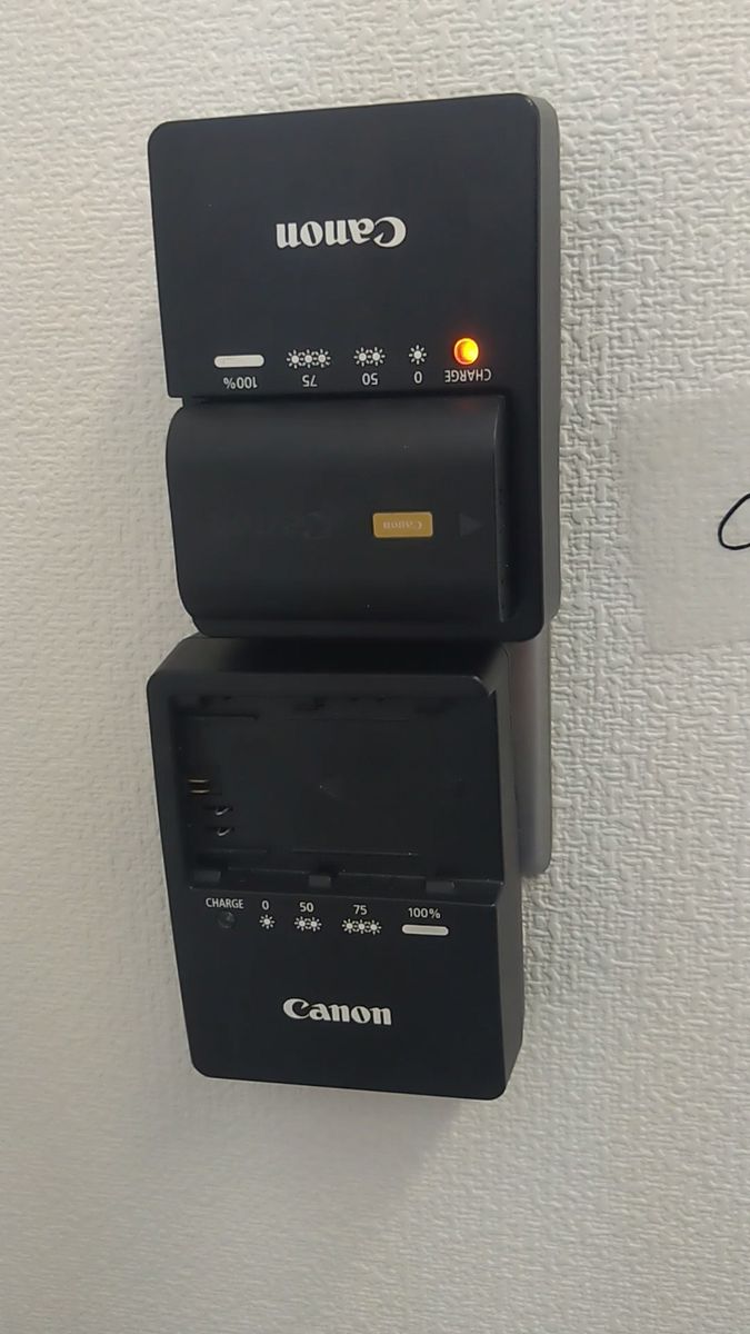 【2個セット】動作確認済!LC-E6 Canon バッテリーチャージャー 充電器 キヤノン キャノン CC2