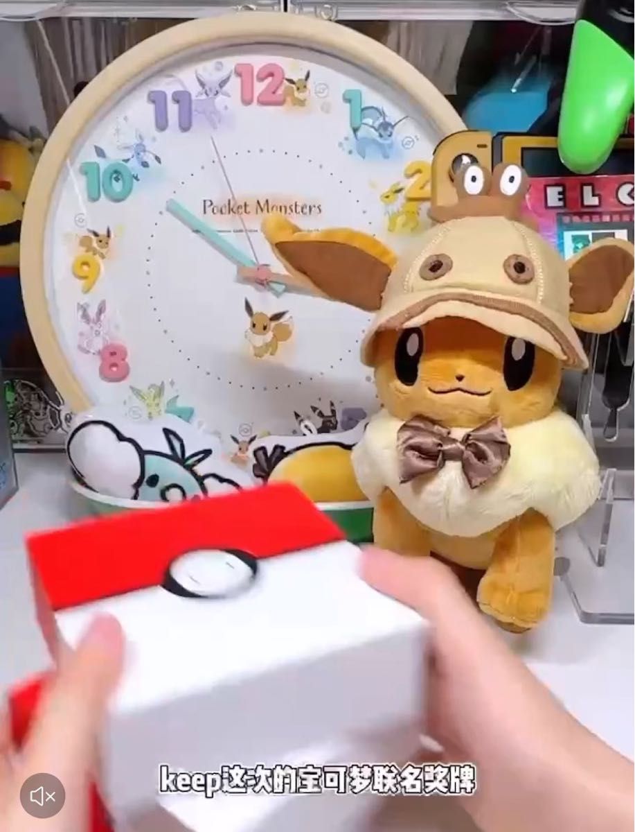 ポケモン イーブイメタル タイプB (中国正規版)