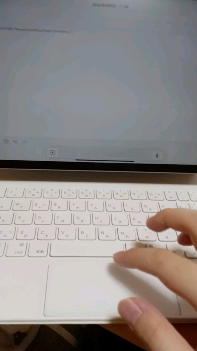 【Apple】 Magic Keyboard 11インチ 純正(日本語配列)