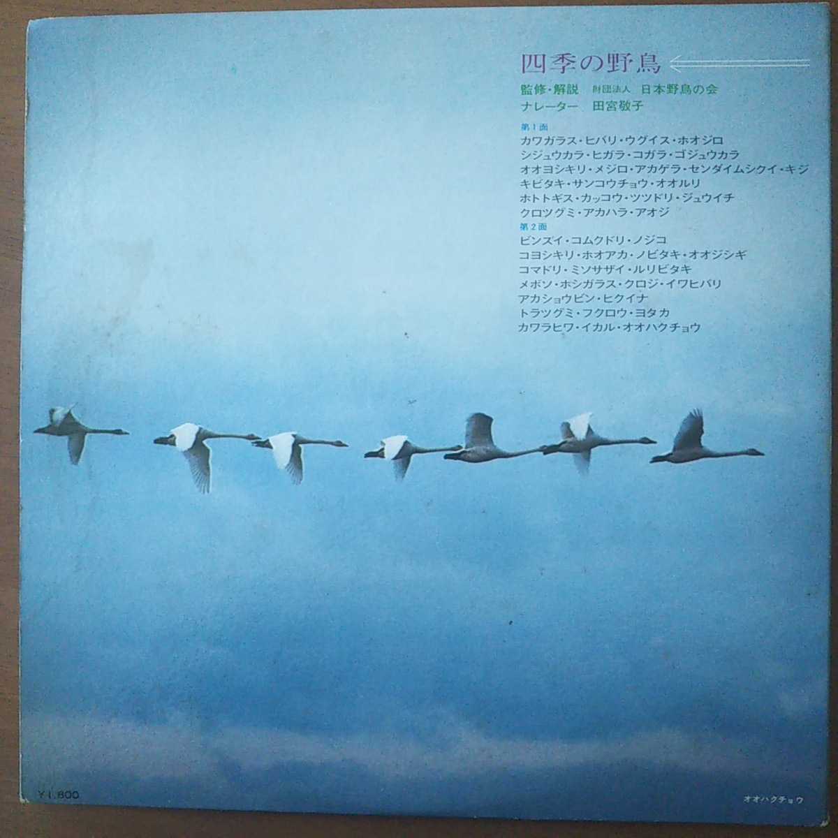 LP(帯付き)四季の野鳥/監修:財団法人日本野鳥の会、ナレーター:田宮敬子【同梱可能6枚まで】_画像2