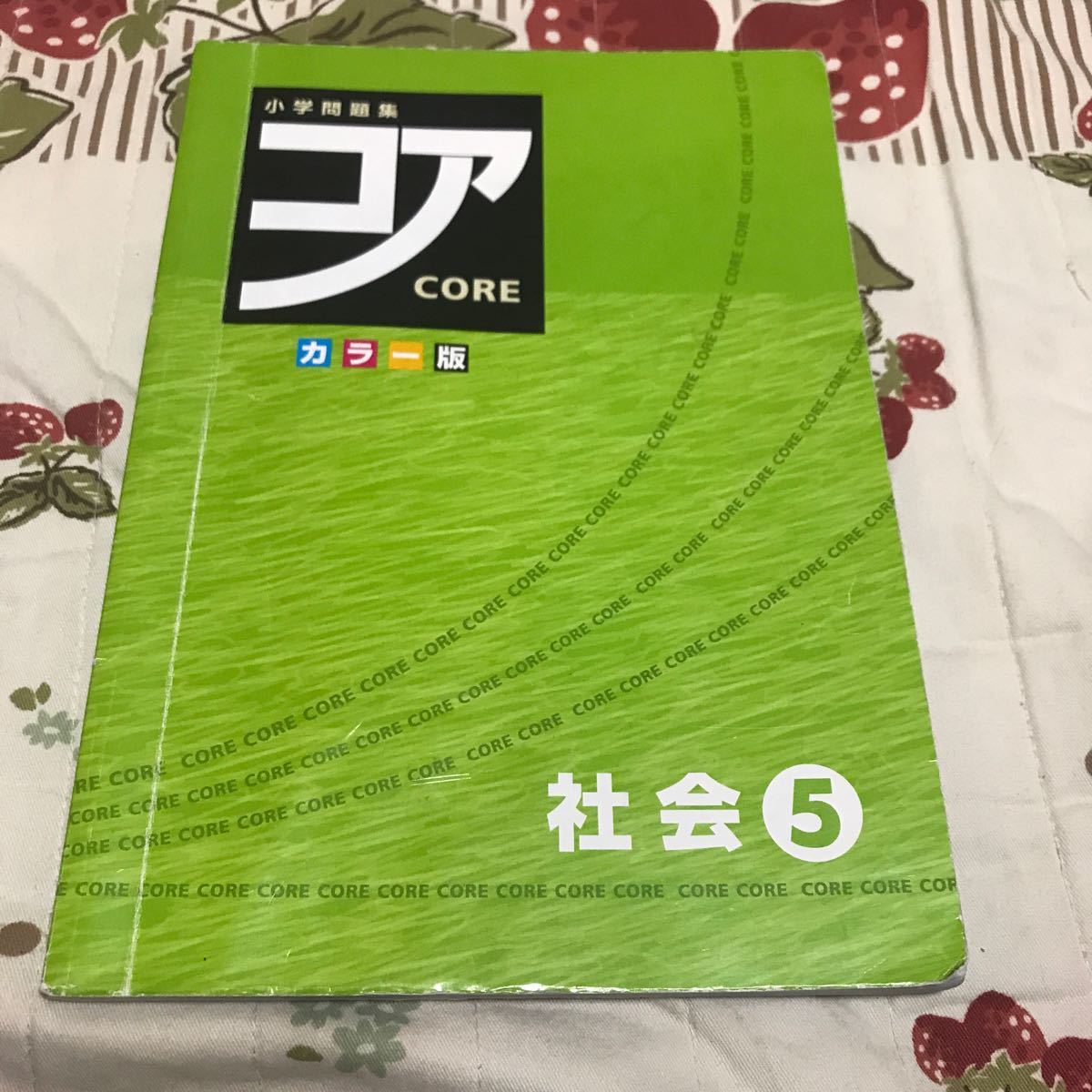 小学問題集　コア　社会5年