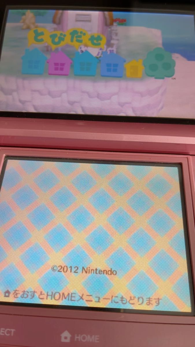 【3DS】とびだせ どうぶつの森