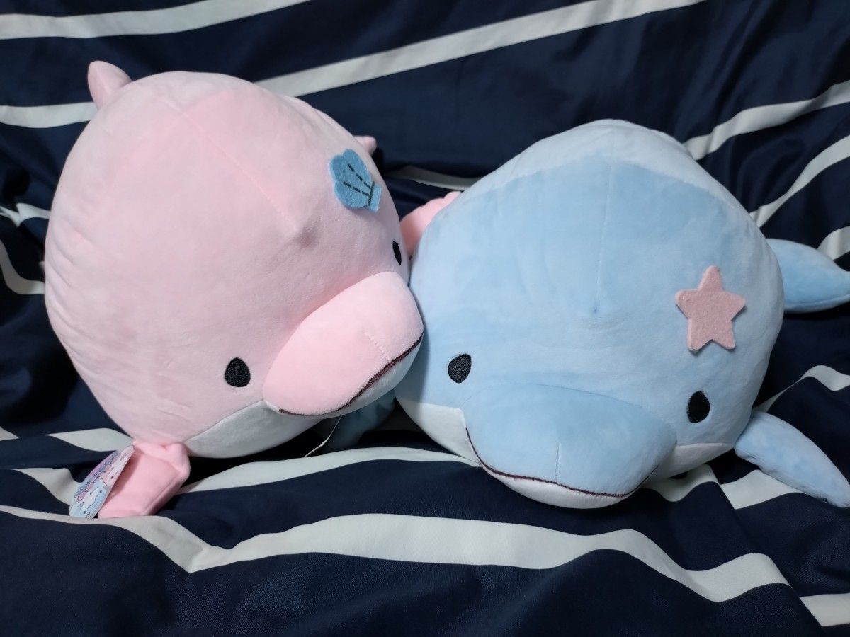 ゆるいるか BIGぬいぐるみ 2点セット みいるか ゆるいるか BIGぬいぐるみ 2種セット イルカ|Yahoo