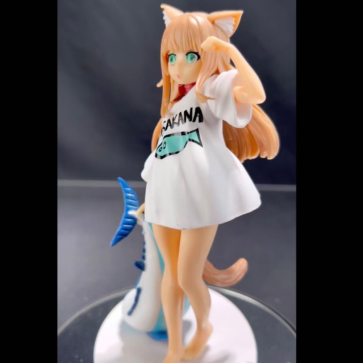うちのねこは女の子でかわいい おはようきなこ
