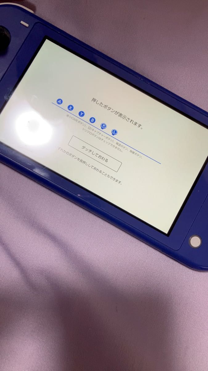Nintendo Switch Lite ジャンク 本体
