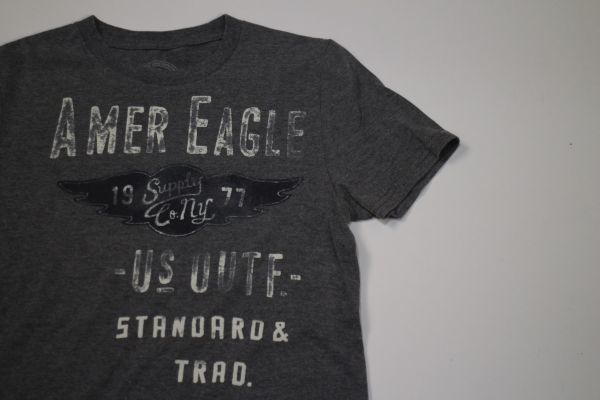 【古着アメリカンイーグルアウトフィッターズプリントTシャツS灰色】AMERICANEAGLE OUTFITTERSニューヨークアメカジ_画像1