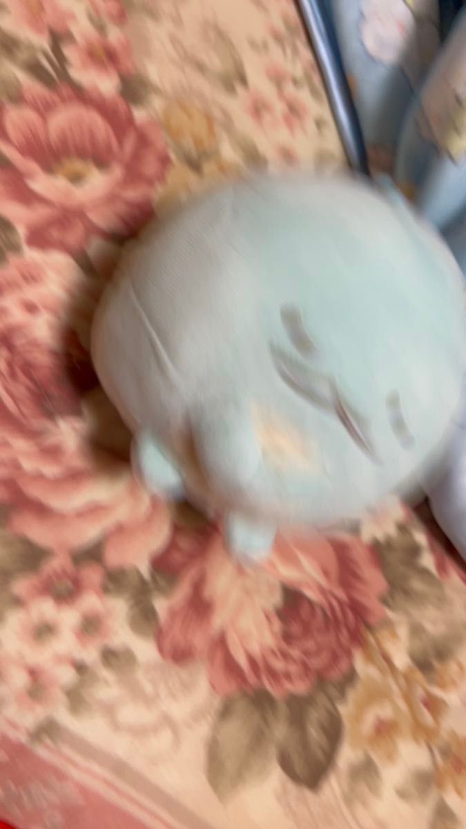 すみっコぐらし まんまるころりん とかげ
