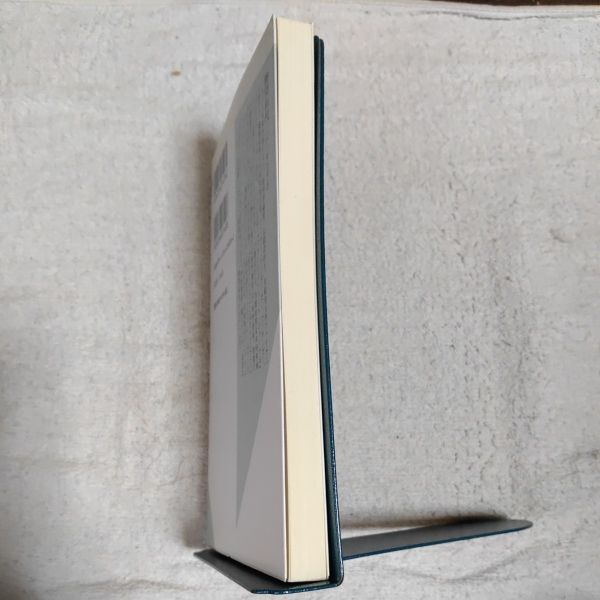 会社に人生を預けるな リスク・リテラシーを磨く (光文社新書) 勝間和代 9784334034962_画像4