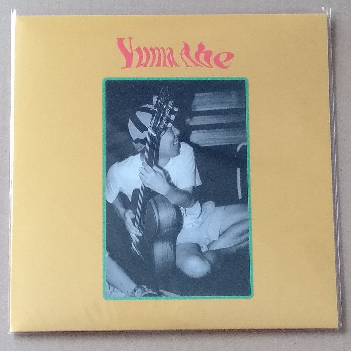 安部勇磨 Yuma Abe Fantasia アナログ盤 LP レコード 安部勇磨 Yuma Abe Fantasia アナログ盤 LP レコード Fantasia