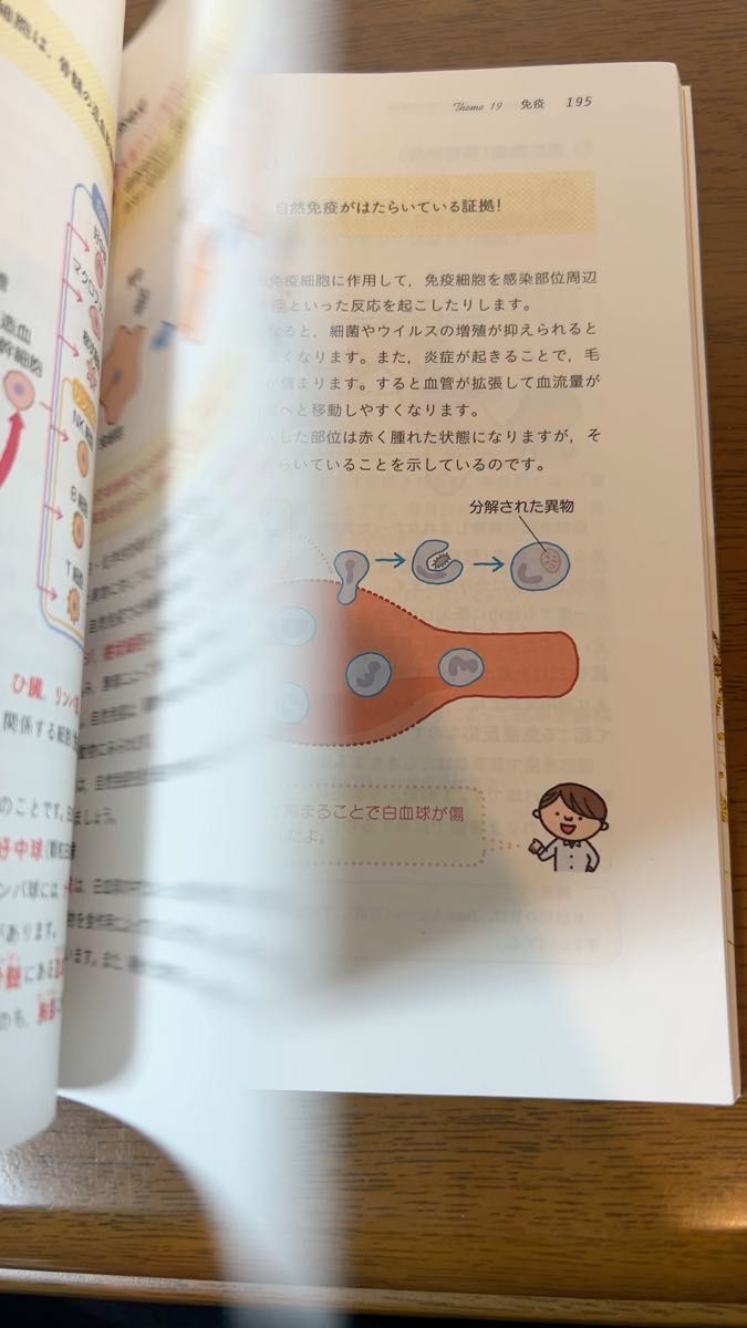〈きめる!共通テスト〉生物基礎 (KIMERU SERIES) 唐牛穣/著