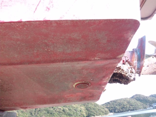 1年ほど係留後 海から上げた直後