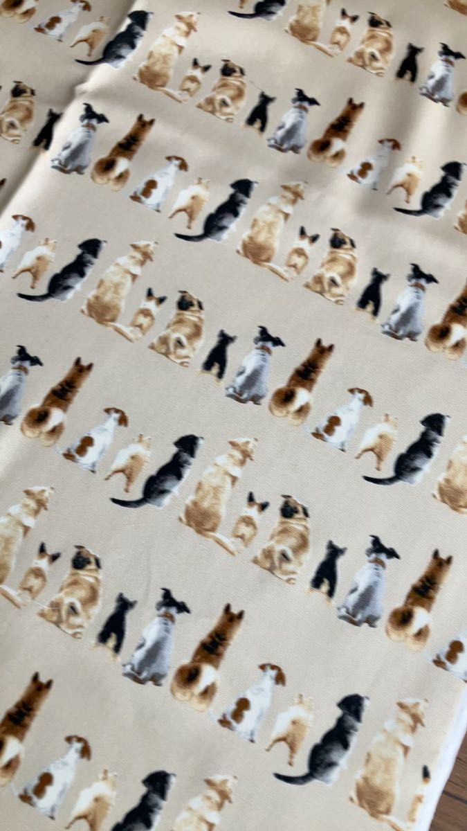 No.43/生地 50cm はぎれ 犬 コットン 後ろ姿 パグ ベージュ オックス はぎれ まとめて お得 同梱値引き ドッグ
