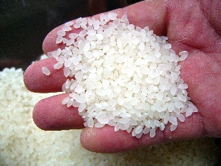  новый рис . мир 5 год производство внутренний производство белый рис 10 kilo легкий цена 3000 иен 