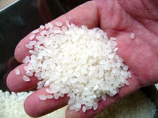  новый рис . мир 5 года производства Kyoto Tanba Koshihikari белый рис 5 kilo 2580 иен 