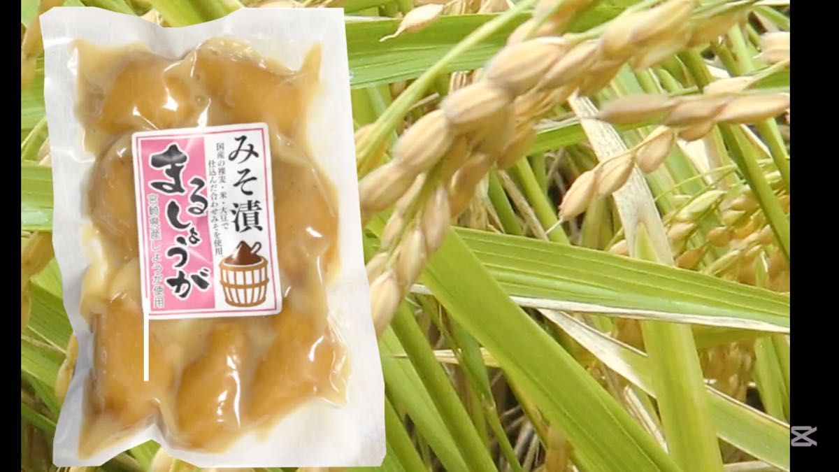 宮崎の漬物 みそ漬け まるしょうが 100g×3袋 ご飯のお供 生姜の味噌漬 ほかほか白ご飯やお肉と相性抜群 美容と健康に