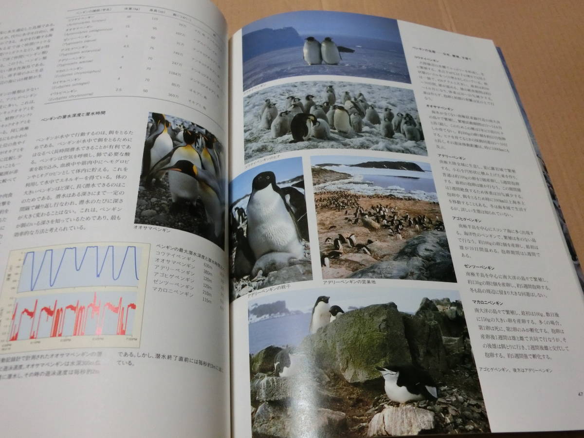 レア！ 図録 ふしぎ大陸南極展 日本南極観測40周年記念 国立科学博物館