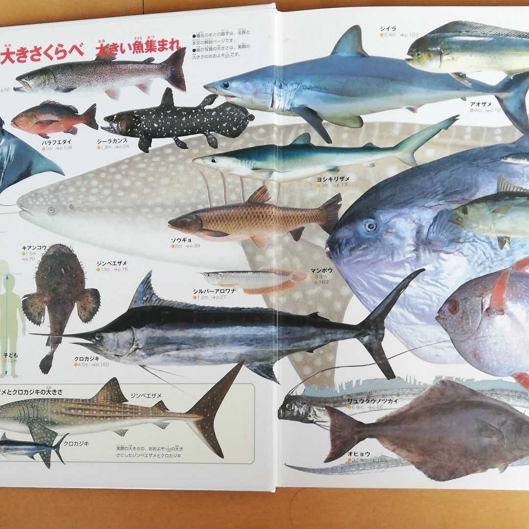 Paypayフリマ 小学館 図鑑 Neo 鳥 及び 魚 Paypayフリマ 小学館 図鑑 Neo 鳥 及び 魚