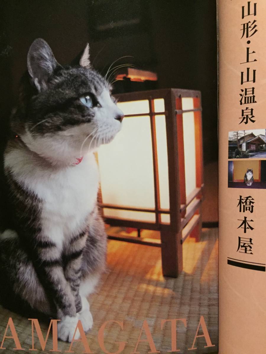  secondhand book obi none photoalbum cat. ...Yadoneko photographing * work :. rice field good . cat ... cruise cat . pavilion hotel tourist guide click post shipping etc. 