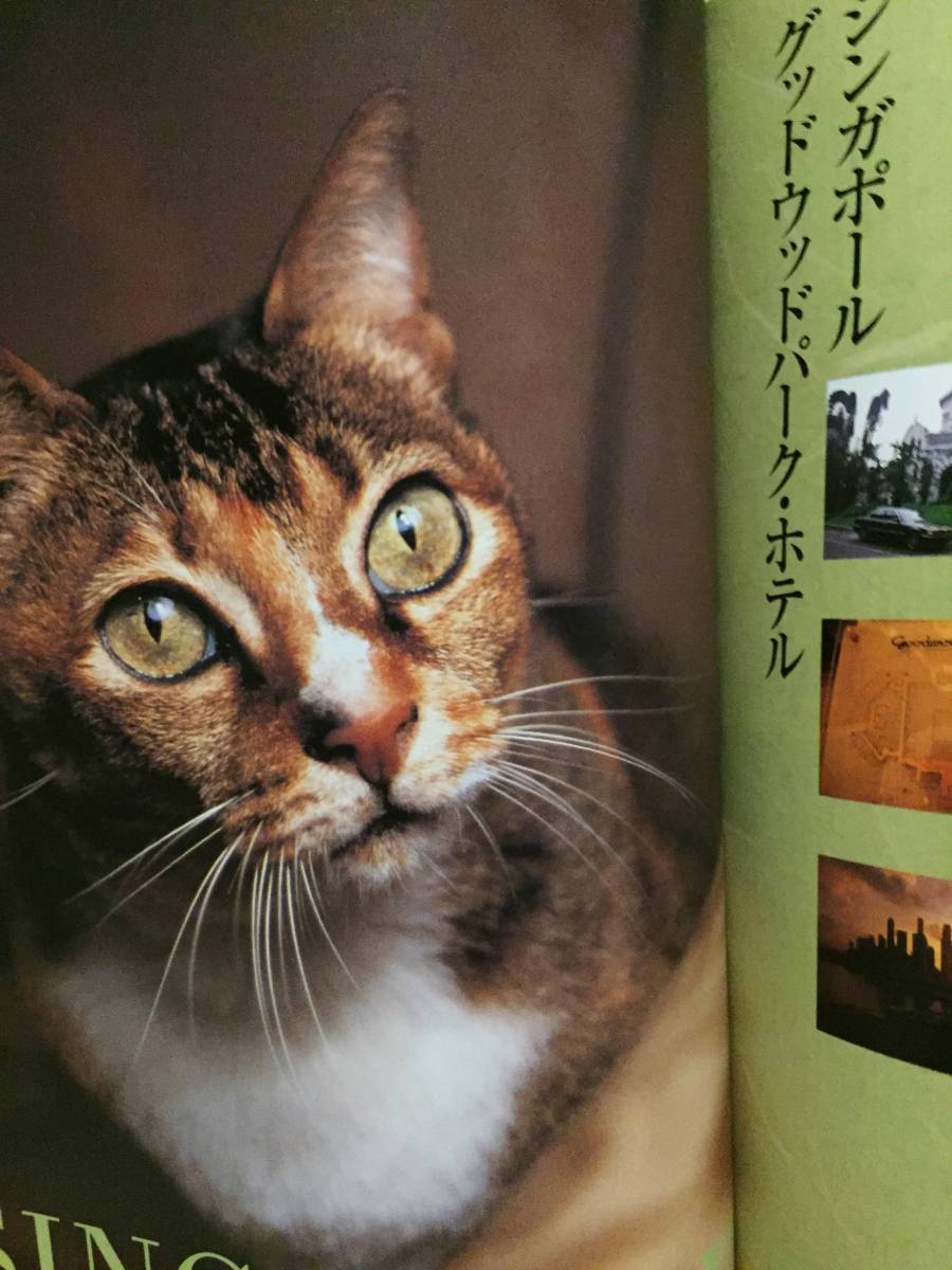  secondhand book obi none photoalbum cat. ...Yadoneko photographing * work :. rice field good . cat ... cruise cat . pavilion hotel tourist guide click post shipping etc. 