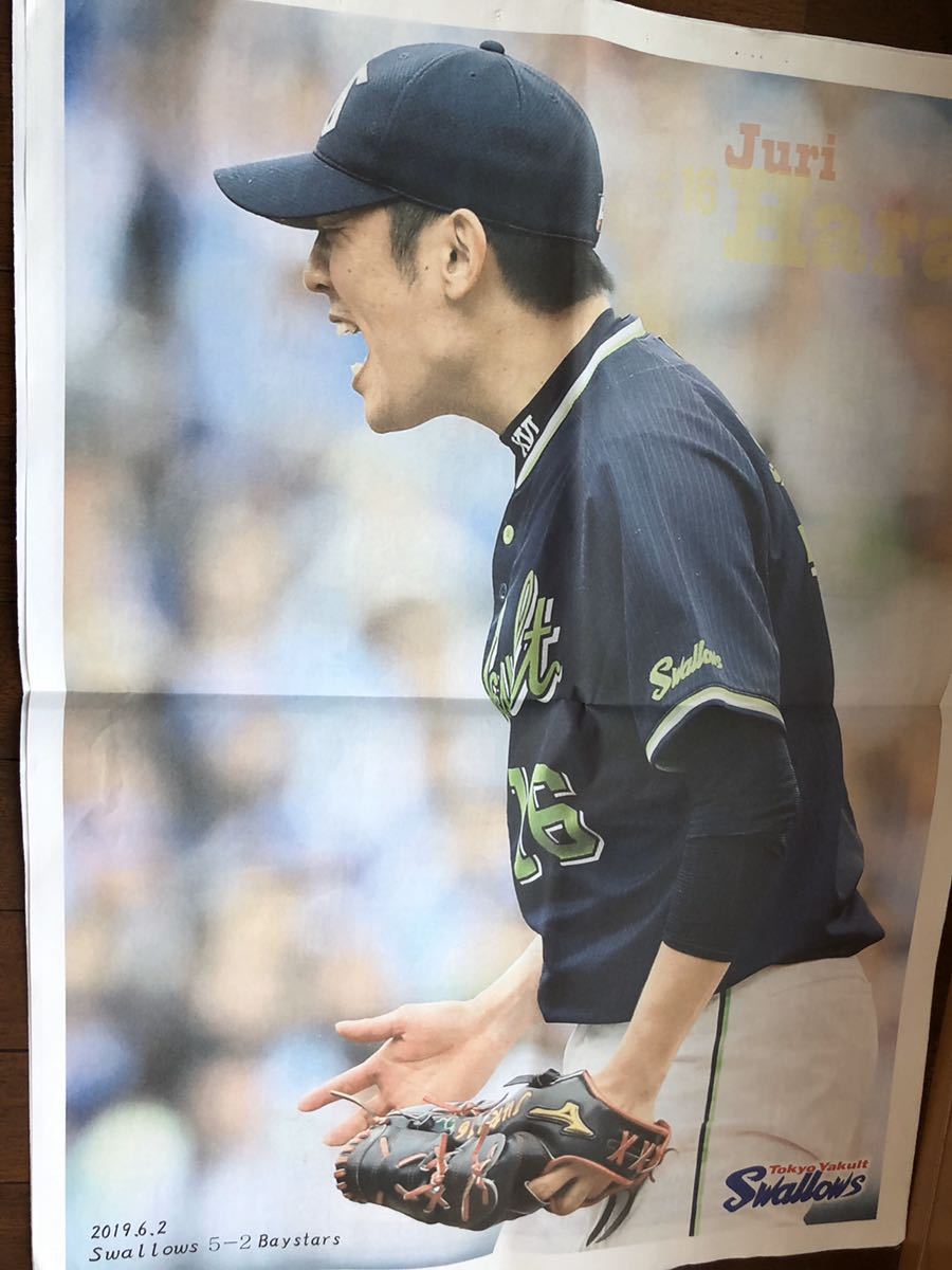  circle .. swallow z no. 2 times swallow zike men total selection . newspaper 2019 year Tokyo Yakult Swallows mountain rice field . person Aoki . parent slope ...