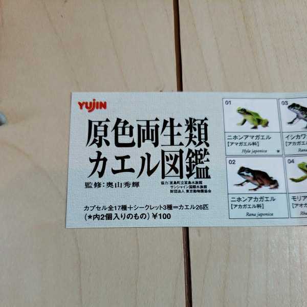 即決 ユージン YUJIN 原色両生類カエル図鑑 フィギュア 全26種類 即決 ユージン YUJIN 原色両生類カエル図鑑 フィギュア 全26種類