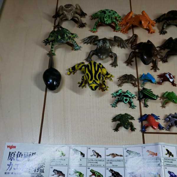 即決 ユージン YUJIN 原色両生類カエル図鑑 フィギュア 全26種類 即決 ユージン YUJIN 原色両生類カエル図鑑 フィギュア 全26種類