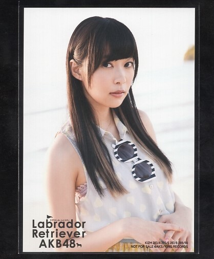 AKB48 指原莉乃 ラブラドールレトリバー 通常盤 購入特典 生写真 3種コンプ 一括まとめ出品 HKT48_画像3