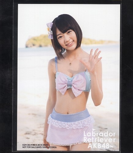 AKB48 宮脇咲良 ラブラドールレトリバー 通常盤 購入特典 生写真 3種コンプ 一括まとめ出品 HKT48_画像2