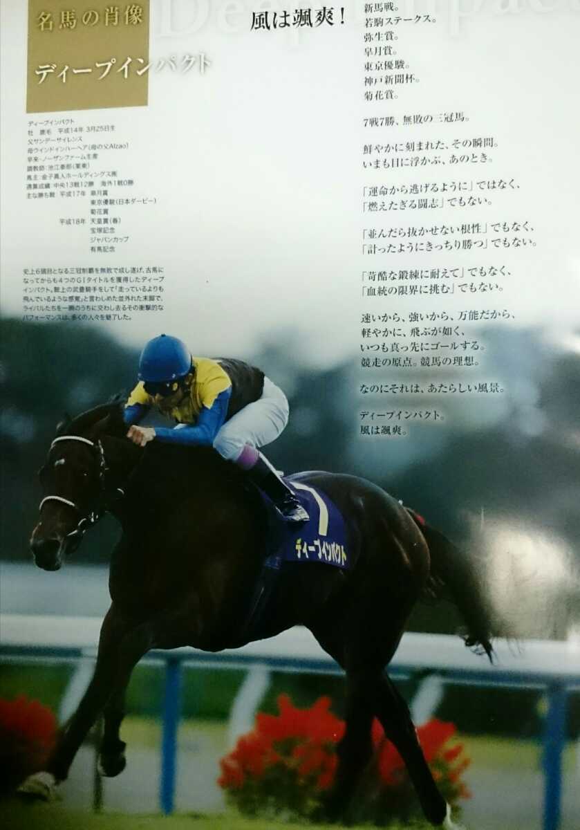 平成の最高峰 名馬 サラブレッド ディープインパクト 表紙 2019レーシングプログラム JRA 非売品 限定_画像2