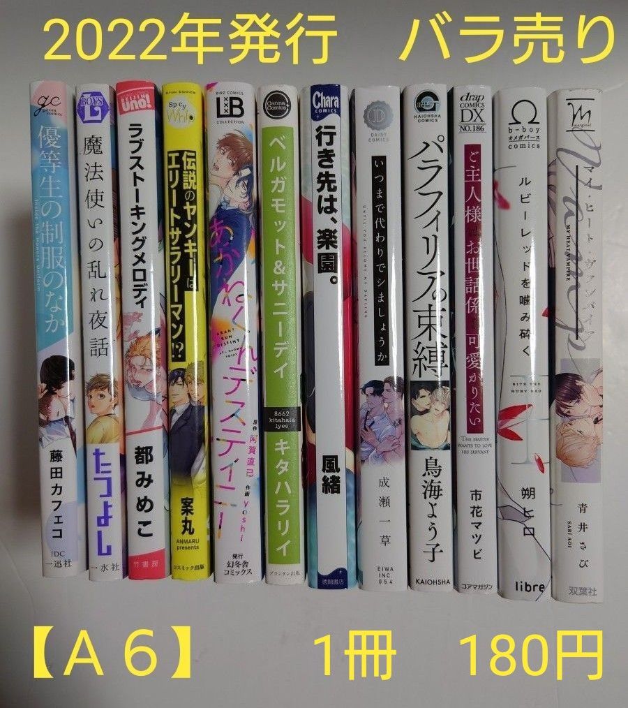 最大の割引 BLコミック バラ売り【A6】 1冊180円 (送料+手数料は別途 女性漫画