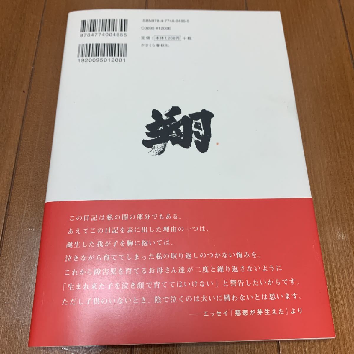 即日発送！　美品！　天使がこの世に降り立てば : ダウン症の書家・金澤翔子