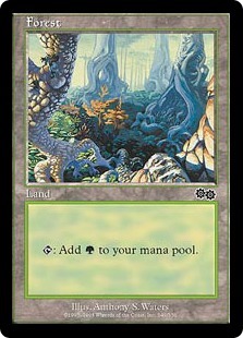 MTG　森　基本土地　349　在庫英2枚まで　ウルザズ・サーガ USG　★他多数出品中_画像1