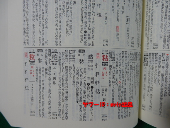 新版 漢語林 中学・高校生の漢字、漢文学習に最適 二色刷り_画像3