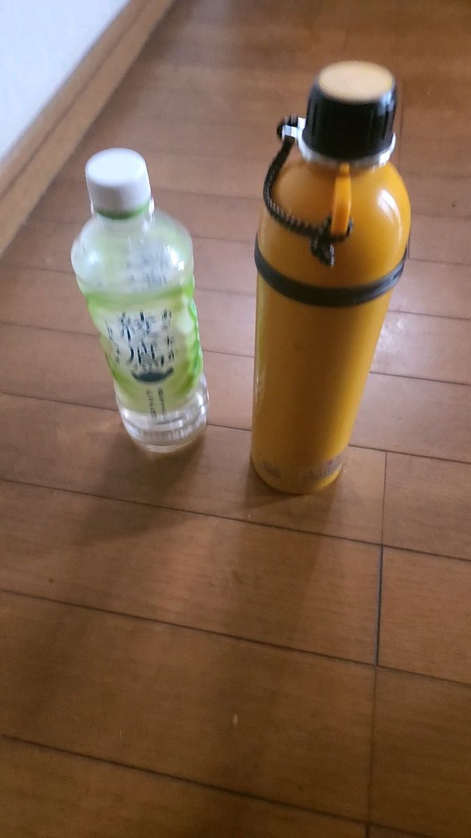 酷暑を乗り切るステンレスボトル タンブラー アウトドア 水筒