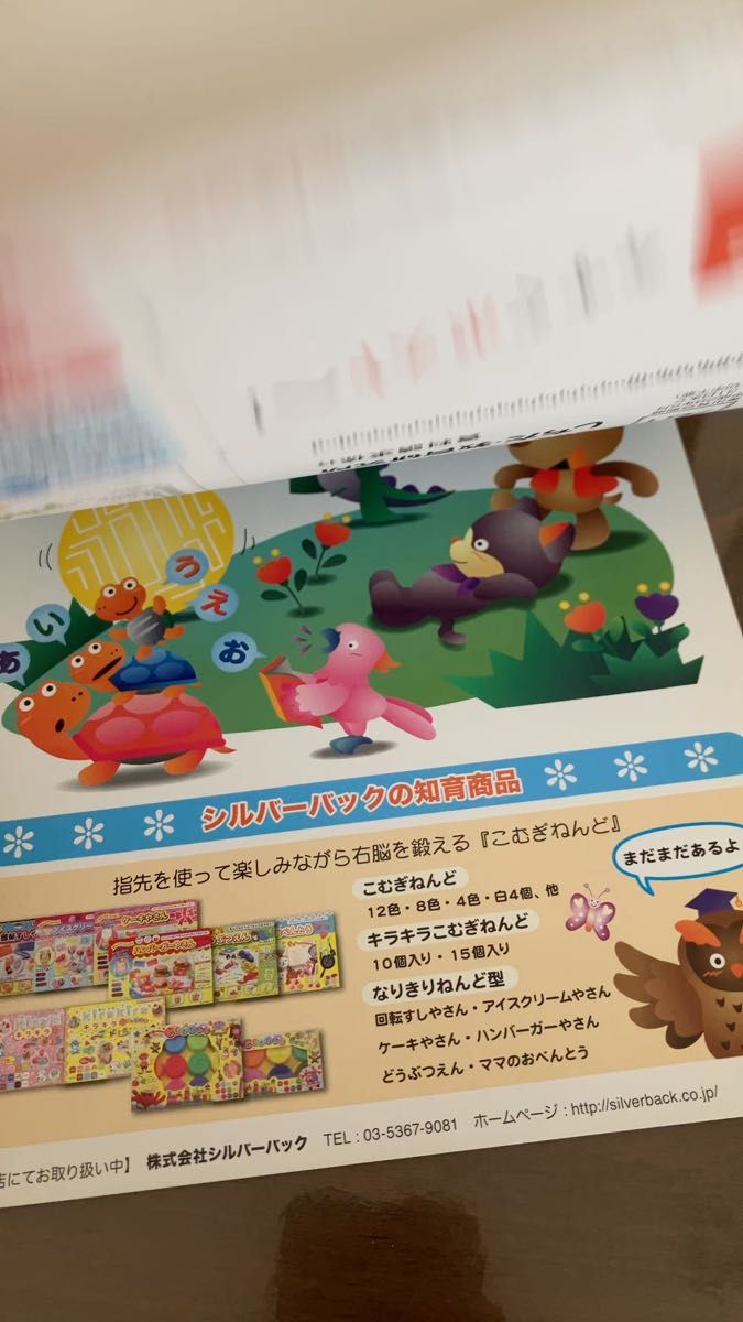 七田式 知力ドリル セット 2・3歳 3・4歳 みぎのう 改訂 七田 眞 監修 ドリル 知育本