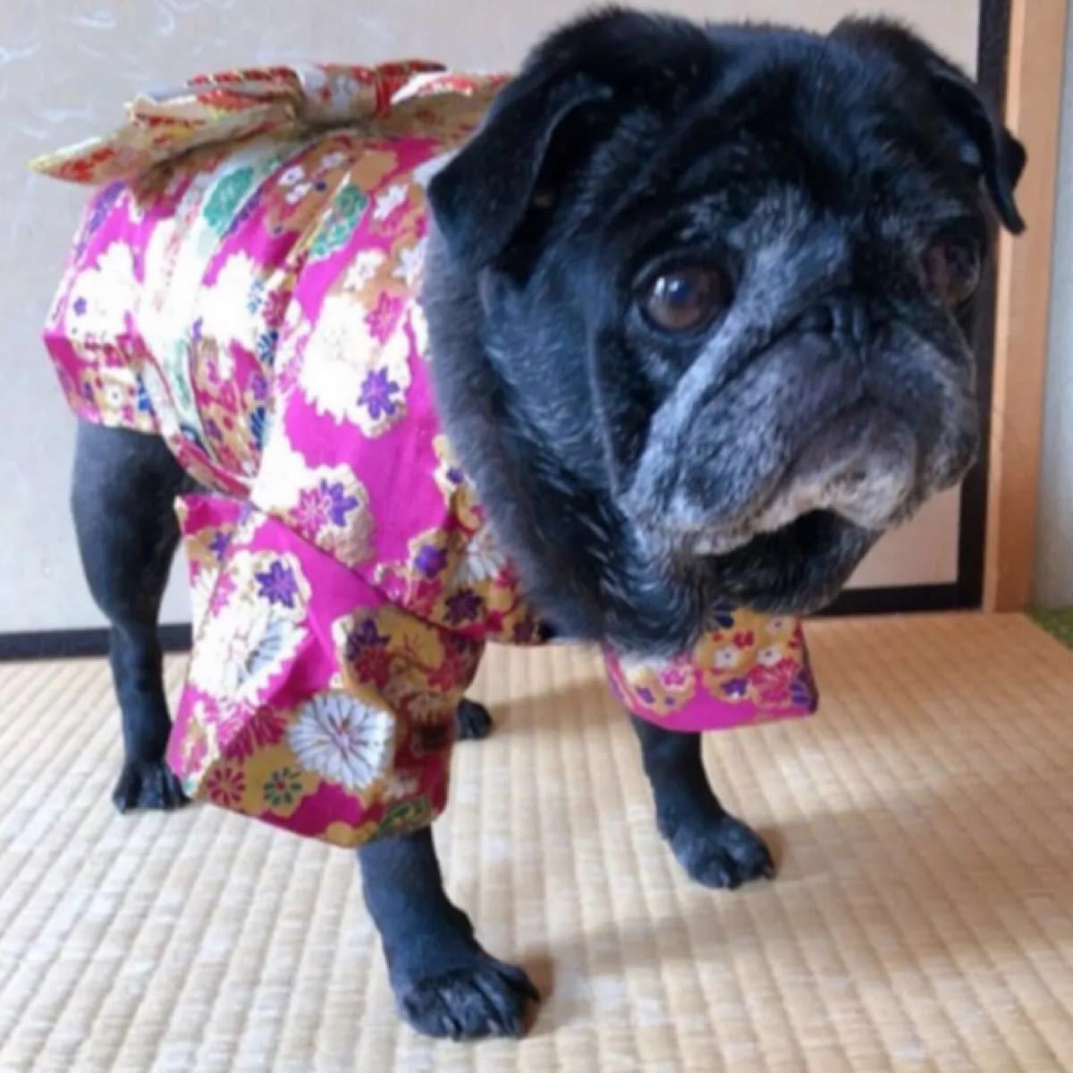 Paypayフリマ 犬用 着物 Paypayフリマ 犬用 着物