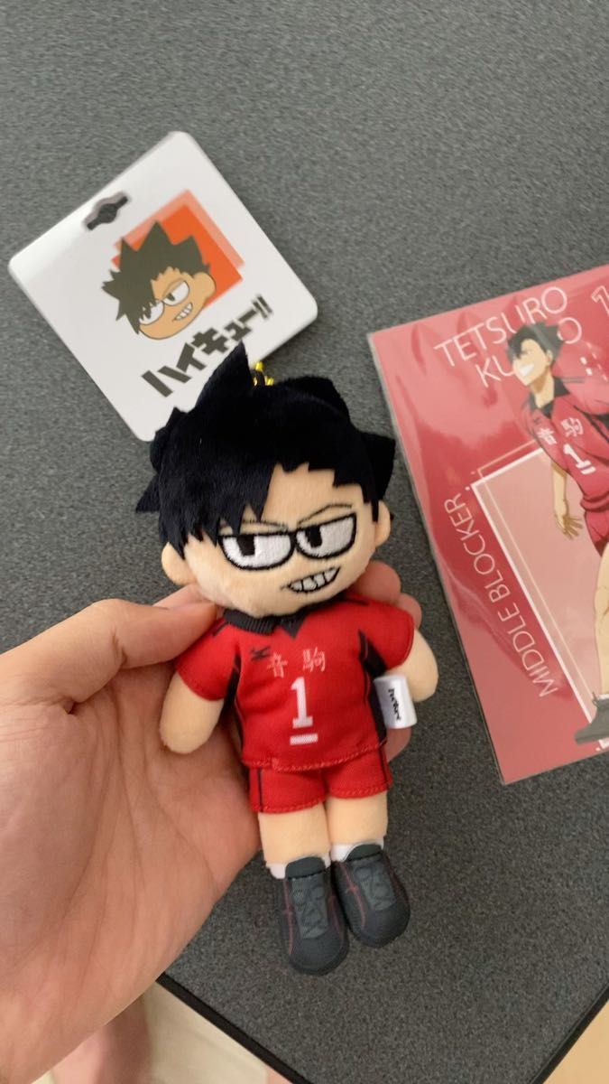 (12時間以内発送)新品 黒毛鉄朗ハイキューぬいぐるみ ジロリ ロフト 劇場版 プラザ ゴミ捨て場の決戦